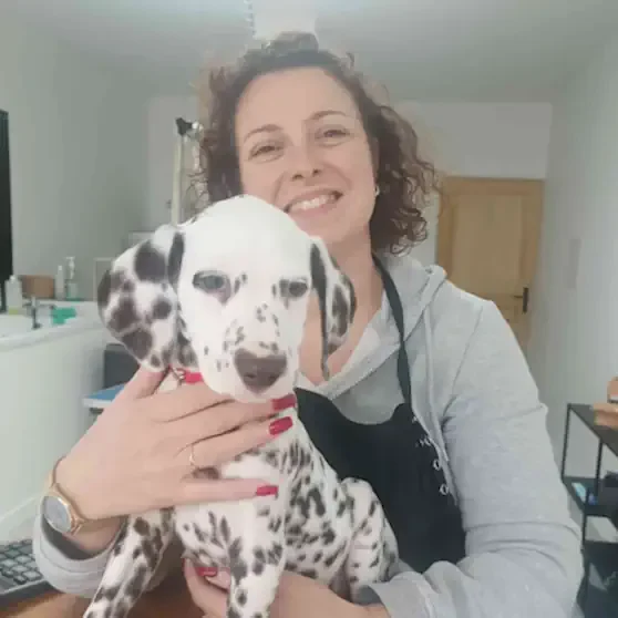 Toiletteuse souriante tenant un chiot dalmatien dans ses bras.